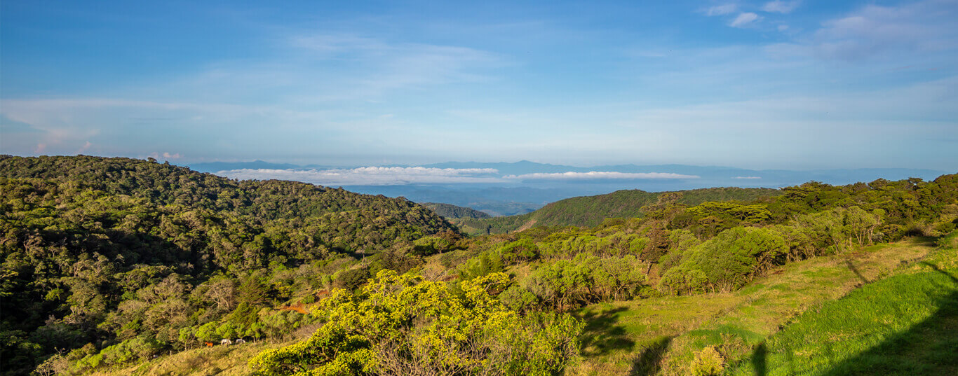 VISTAS A LA MONTAÑA