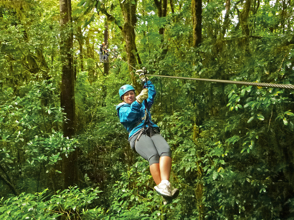 Casas del Toro - Monteverde Cloud Forest