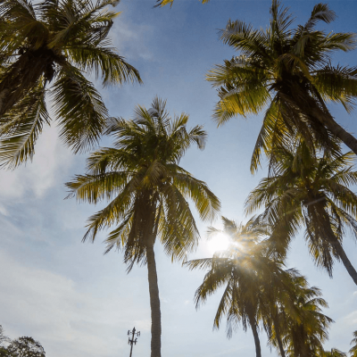 Brasilito, Guanacaste